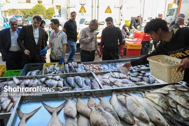 گزارش تصویری |  بازار ماهی فروشان در شهرک عرب‌های مشهد