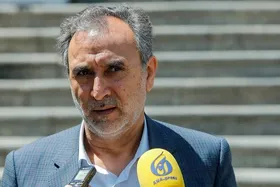 دهقان: کشور&zwnj;های اسلامی بودجه رسیدگی به شکایت فلسطینیان را تامین کنند