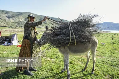 ایران زیباست | کوچ بهاری عشایر استان فارس