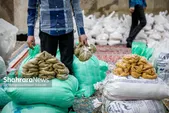 توزیع ۵۱۴ بسته معیشتی بین مددجویان کمیته امداد خراسان رضوی