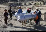 امدادرسانی هلال احمر ایران به مردم زلزله‌زده افغانستان