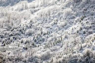 ایران زیباست | گلستان برفی