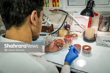 گزارش تصویری |بازدید خبرنگاران از فعالیت‌های جهاد دانشگاهی خراسان رضوی