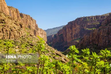 کردستان زیبا؛ طبیعت «دالاهو وریجاب»