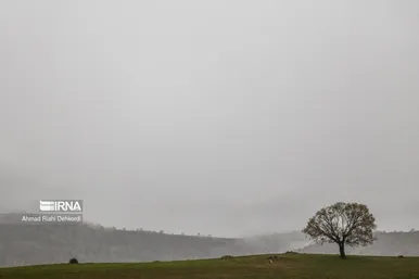 نوروزگردی | دهکده زراس