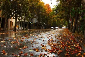 ویدئو| خیابان ولی&zwnj;عصر در پاییز ۱۴۰۳