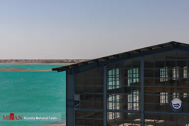 در جست و جوی آب