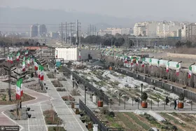 نخستین باشگاه کشاورزی شهری ایران در مشهد چهارساله شد