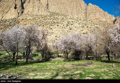 ایران زیباست | اندک اندک می‌رسد اینک بهار