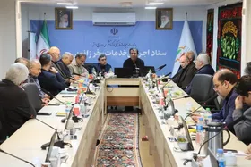 ۹۵ درصد خدمات&zwnj;رسانی به زائران رضوی با کمک بخش خصوصی انجام می&zwnj;شود