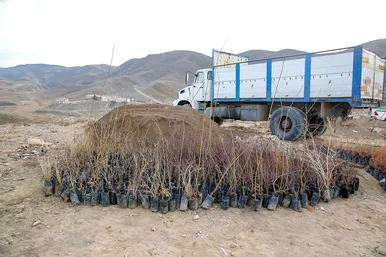  پویش مردمی 