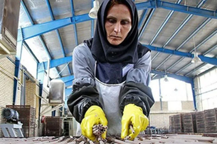 قانون کار چه حقوقی برای زنان کارگر در نظر گرفته است؟