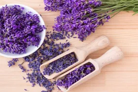 اسطوخودوس قاتل سردرد است