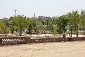 تجمع معتادان در پروژه نیمه کاره بوستان در خیابان ۲۲ بهمن مشهد