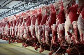 قیمت گوشت کمتر از ۹۰ هزار تومان می&zwnj;شود