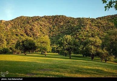 ایران زیباست | طبیعت بهاری منطقه دره اناران سپیدشت خرم آباد