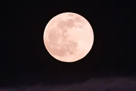 درباره ماه کامل صورتی که امشب (۵ اردیبهشت ۱۴۰۳) در آسمان می&zwnj;درخشد + دلیل نامگذاری