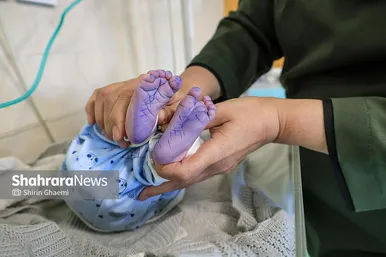 گزارش تصویری | «روز جهانی ماما» اولین همراه زندگی