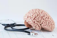 افزایش تراکم سلول‌های عصبی در زنان، علت انجام چند فعالیت هم‌زمان توسط آن‌ها