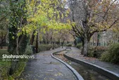 هشدار نارنجی هواشناسی برای مشهد و ۳۰ استان کشور صادر شد (۲۳ آذر ۱۴۰۴)