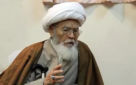 رئیس شورای علمای شیعه افغانستان: امیدواریم انتخاب رهبر جدید موجب خیر و برکت برای امت اسلامی و اعتلای کلمه حق شود