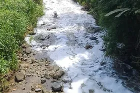 نشت مواد شیمیایی به یک رودخانه در برزیل موجب آلوده شدن ماهی&zwnj;ها و پرندگان شد
