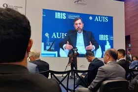 معاون وزیر خارجه: امیدواریم جولانی عناصر غیرسوری را از مردم سوریه دور کند