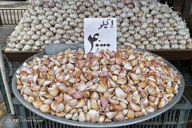 ایران زیباست | طعم زندگی در بازار روز بندر انزلی
