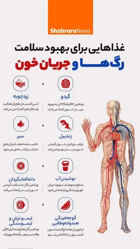 اینفوگرافیک | غذاهایی برای بهبود سلامت رگ&zwnj;ها و جریان خون
