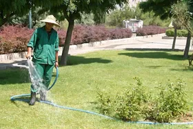 هدف&zwnj;گذاری تأمین ۷۵ درصدی آب فضای سبز مشهد از پساب تا سه سال آینده