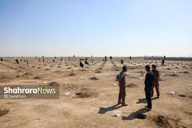گزارش تصویری | پویش درختکاری در بوستان کرامت مشهد (۱۶ اسفند ۱۴۰۴)