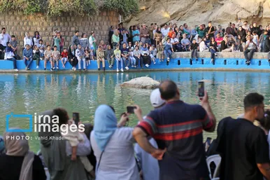گزارش تصویری | همایش «دف نوازان» بجنورد