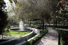 هم&zwnj;نشینی با گل&zwnj;های تابستانه در فضای سبز مشهد