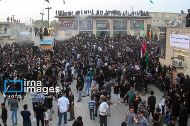 محرم ۱۴۰۴ | عکس‌هایی از آیین سنتی «عَلَم پیغمبر» در میناب