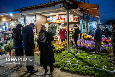 بازار گل محلاتی تهران در آستانه سال نو