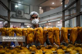 گزارش تصویری | بازدید خبرنگاران از یک مرکز فرآوری گوشت در مشهد