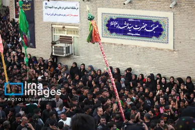 محرم ۱۴۰۴ | عکس‌هایی از آیین سنتی «عَلَم پیغمبر» در میناب