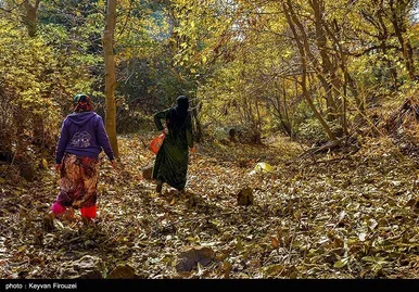 ایران زیباست | پاییز رنگارنگ کردستان