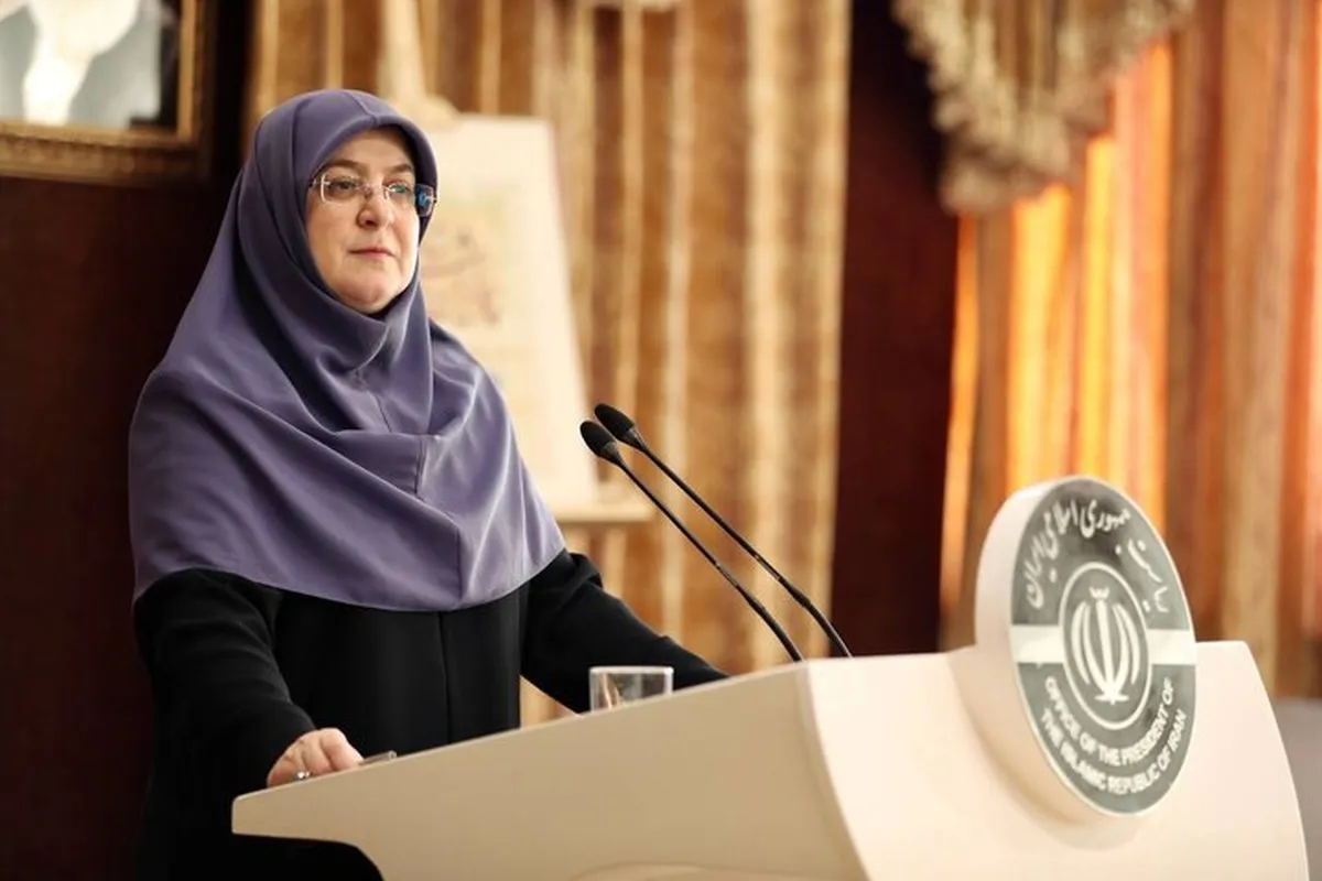 سخنگوی دولت: متوجه تلاطم‌های بازار هستیم | وزیر امور خارجه با نظر شخصی خود کاری را انجام نمی‌دهد