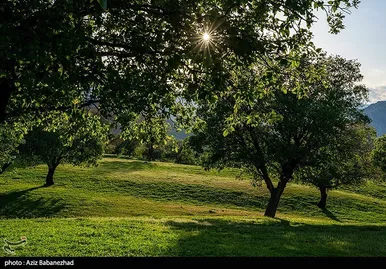 ایران زیباست | طبیعت بهاری منطقه دره اناران سپیدشت خرم آباد