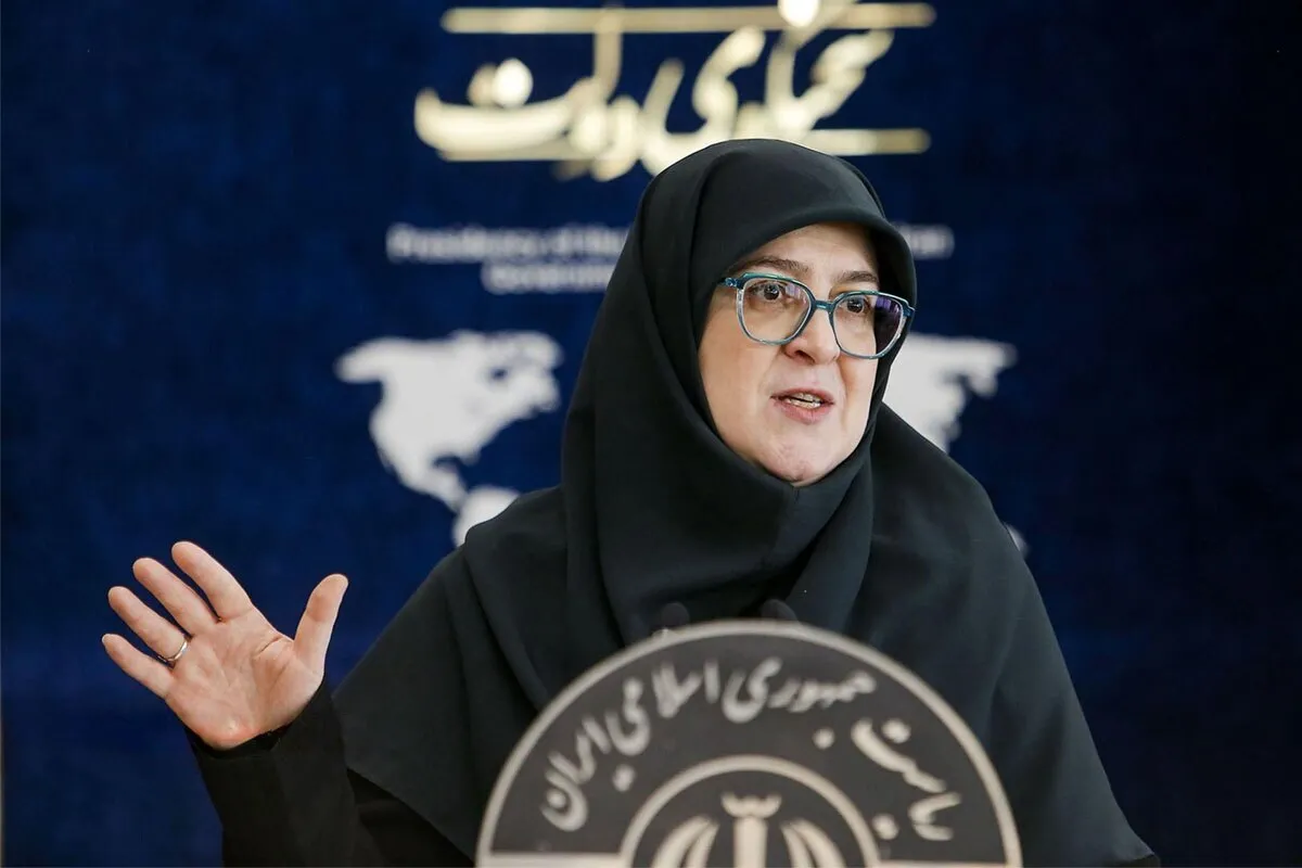 واکنش سخنگوی دولت به برکناری شهرام دبیری از سوی رئیس جمهور