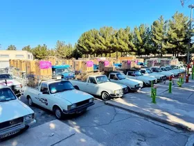 اجرای بیش از ۹۳۰ برنامه برای هفته زن در خراسان جنوبی| ۲۰۰ سری جهیزیه به زوج&zwnj;های جوان اهدا می&zwnj;شود