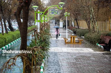 باران که می‌بارد