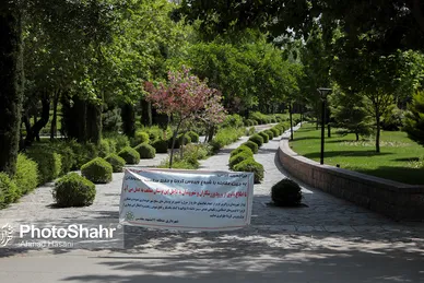 مشهد در موج چهارم کرونا