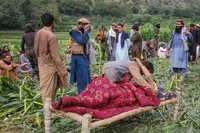 هشدار برنامه جهانی غذا درباره وضعیت بازماندگان زمین‌لرزه در شرق افغانستان | همه چیز را از دست داده‌اند
