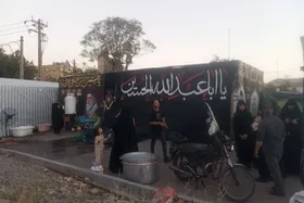 تجلیِ شکوهِ خدمت در منطقه ۷ | از ایستگاه&zwnj;های استقبال تا میزبانیِ گرمِ محلات از زائرانِ رهبر شهید