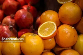 قیمت امروز میوه و تره&zwnj;بار در مشهد (۳۰ دی ۱۴۰۴) | پرتقال را چند بخریم؟