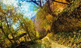 شهروند خبرنگار | روستای کنگ طرقبه