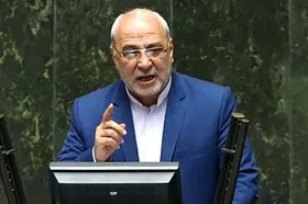 حاجی&zwnj;دلیگانی: دولت برای بی&zwnj;اثر کردن مکانیسم ماشه ورود کند