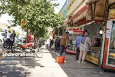 گلایه شهروندان از  قصابی‌های تقاطع خیابان‌های گاز و آیت ا... عبادی مشهد| ذبح بهداشت  وسط شهر!
